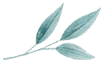 https://tomandabi.com/wp-content/uploads/2020/11/image_leaves_01.png