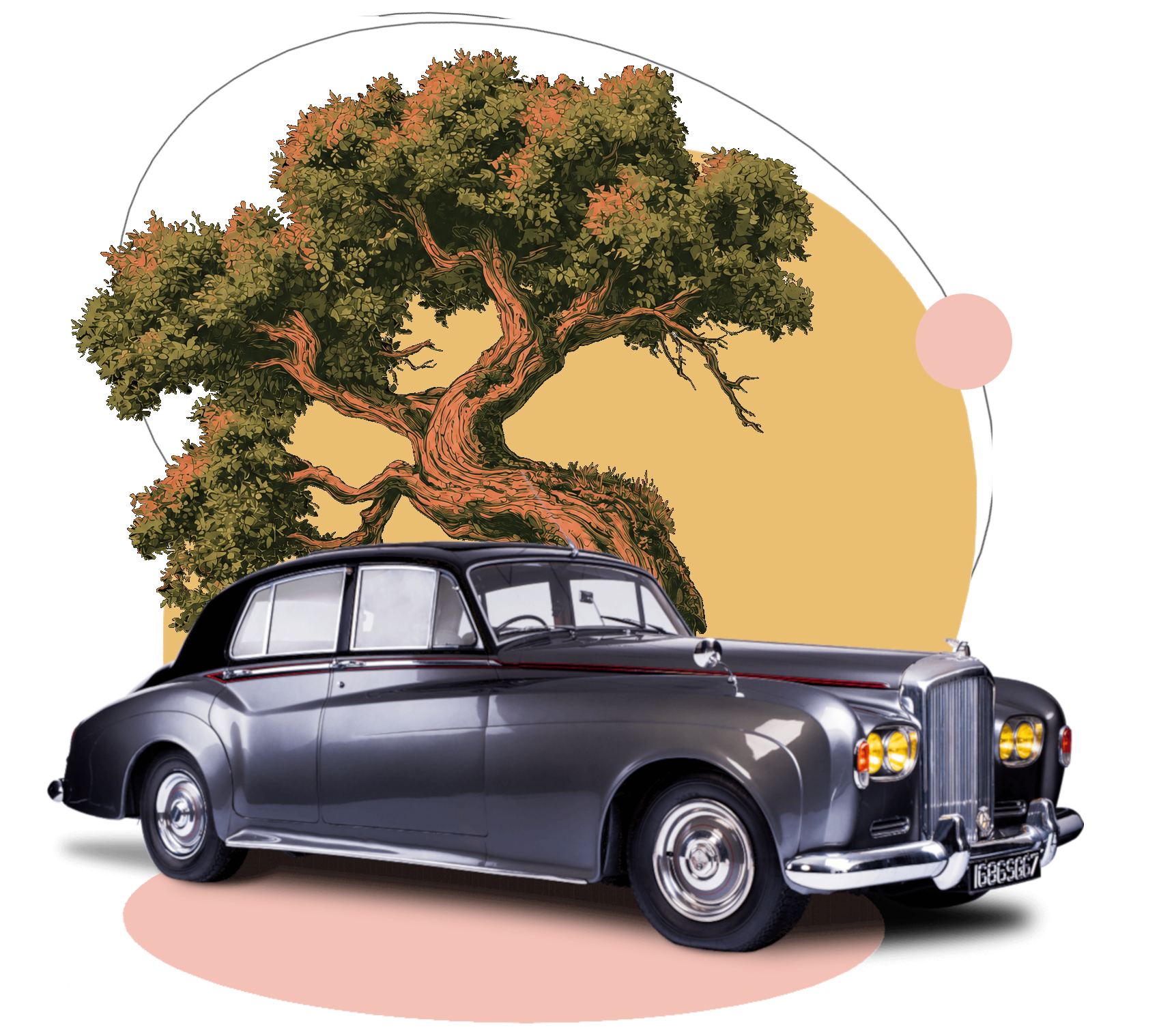 test https://tomandabi.com/wp-content/uploads/2026/08/test.png